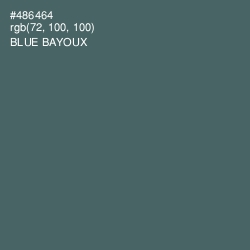 #486464 - Blue Bayoux Color Image